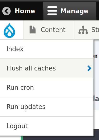Admin Toolbar Extra Tools "Drupal Icon" menu contains options for clearing cache, running Cron, and logging out.